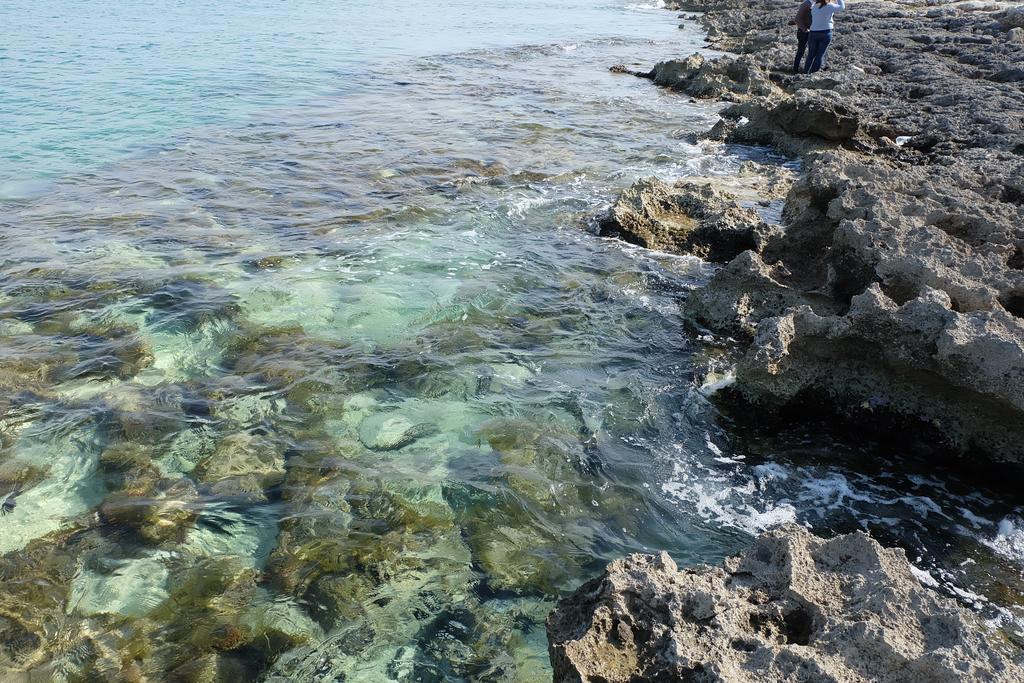 Oasi San Pio Διαμέρισμα Porto Cesareo Εξωτερικό φωτογραφία