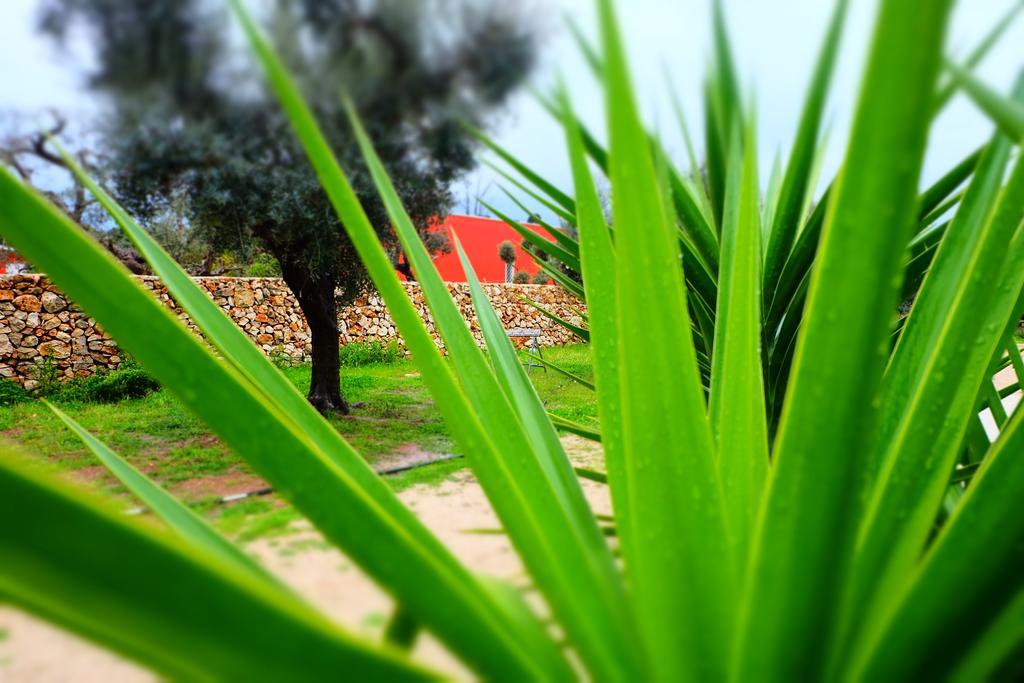 Oasi San Pio Διαμέρισμα Porto Cesareo Εξωτερικό φωτογραφία