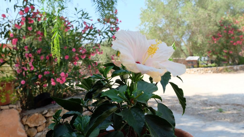 Oasi San Pio Διαμέρισμα Porto Cesareo Εξωτερικό φωτογραφία