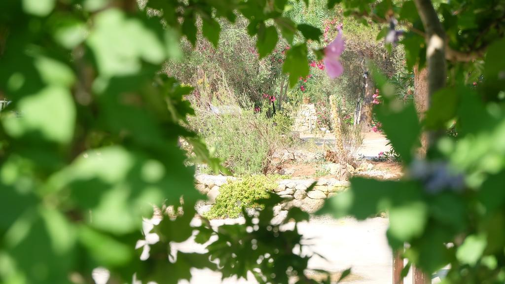Oasi San Pio Διαμέρισμα Porto Cesareo Εξωτερικό φωτογραφία