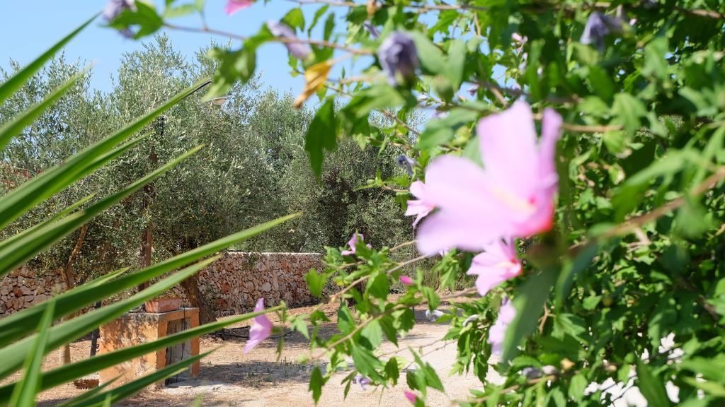Oasi San Pio Διαμέρισμα Porto Cesareo Εξωτερικό φωτογραφία