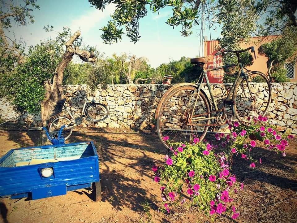 Oasi San Pio Διαμέρισμα Porto Cesareo Εξωτερικό φωτογραφία