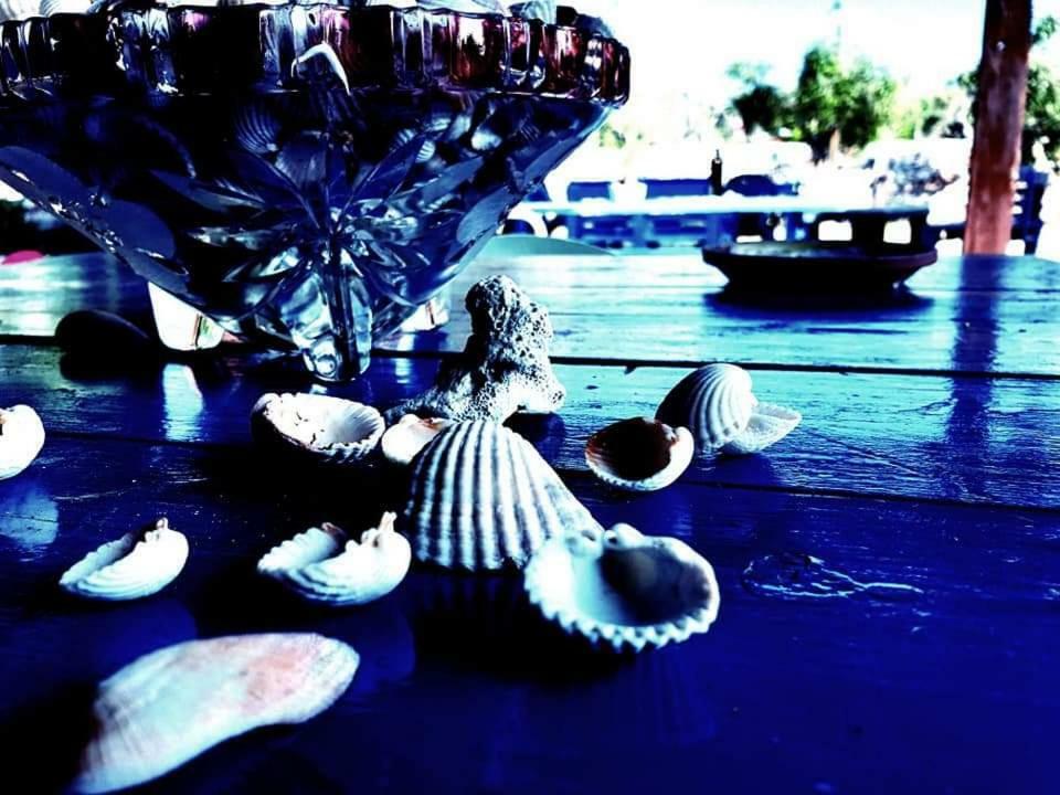 Oasi San Pio Διαμέρισμα Porto Cesareo Εξωτερικό φωτογραφία